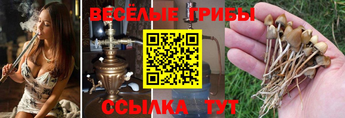 Псилоцибиновые грибы прущие грибы Балашиха
